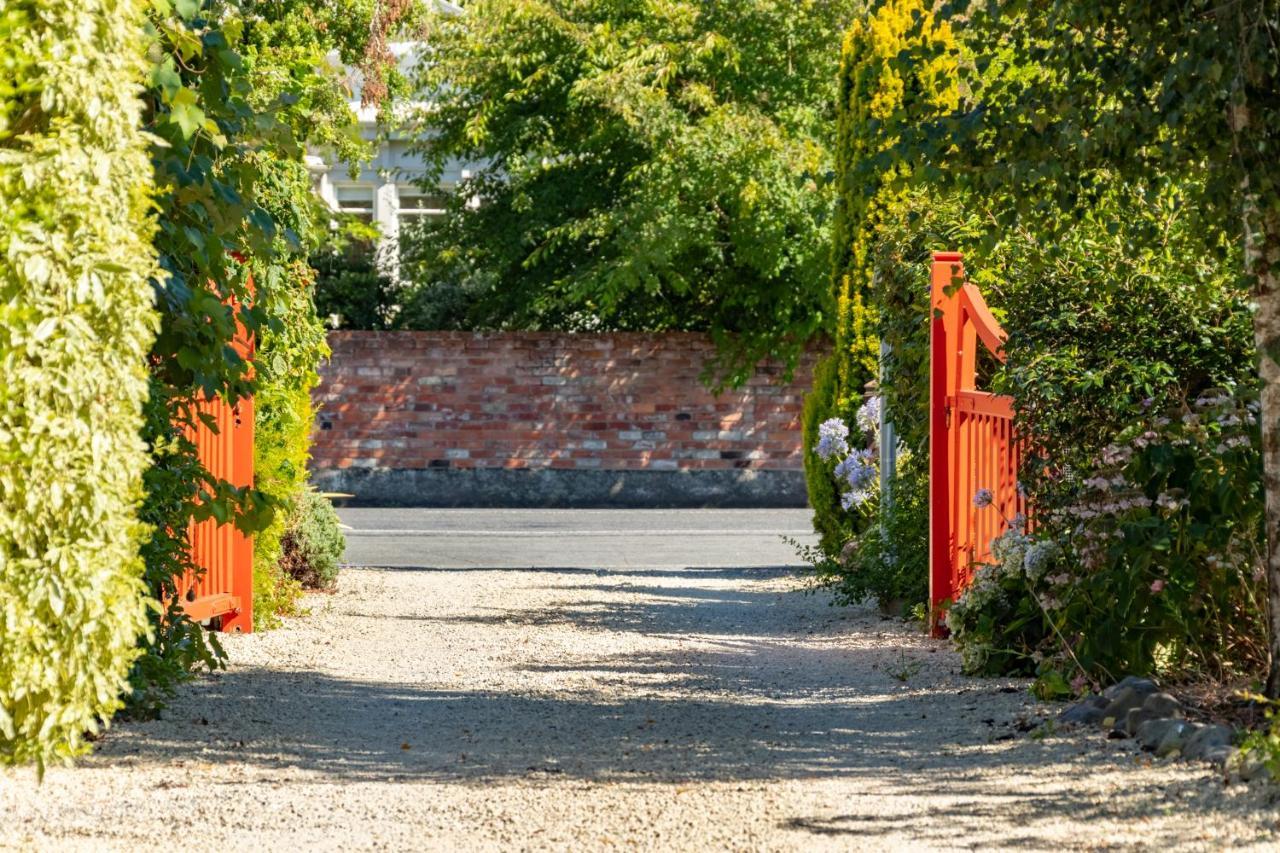 Shy Cottage And Studio Greytown Exterior foto